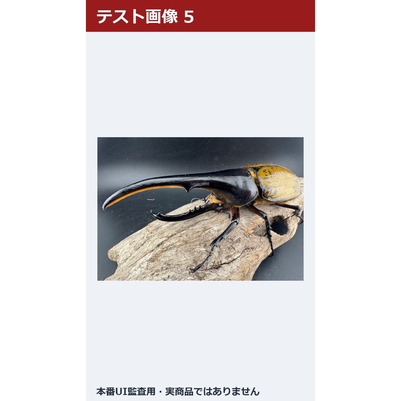 【テスト・入札禁止】飼育用品 三枚画像・説明改行 19