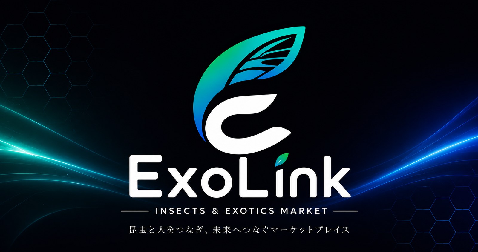 リリース準備中