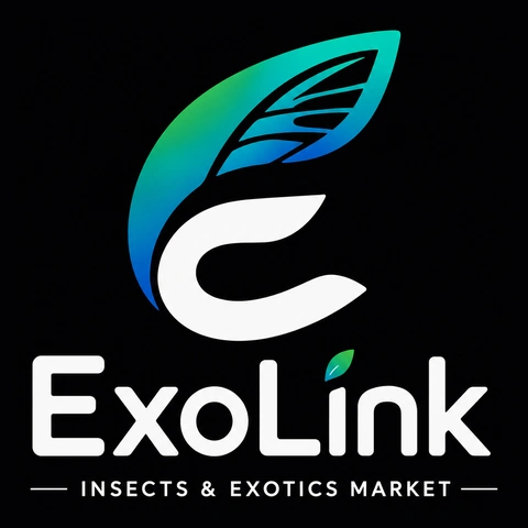 ExoLink - Insects & Exotics Market