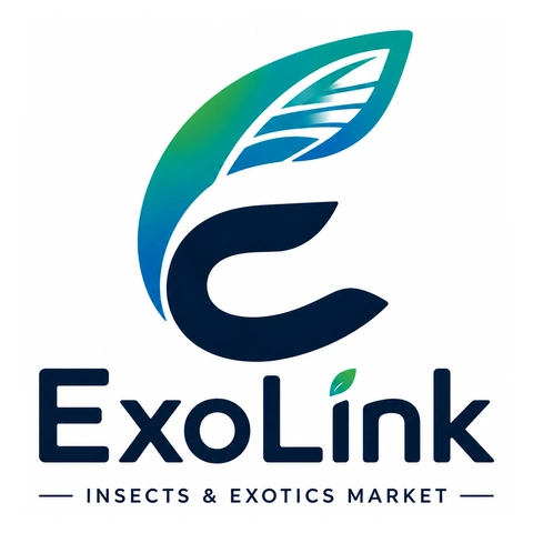 ExoLink - Insects & Exotics Market